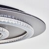 Lidor Plafonnier LED Anthracite, Gris, Noir, 1 lumière, Télécommandes