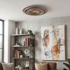 Lidor Plafonnier LED Or, Cuivre, Noir, 1 lumière, Télécommandes