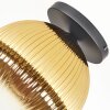 Koyoto Plafonnier, Boule lumineuse 30 cm Or, Clair, 1 lumière