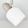 Sivol Plafonnier, Spot de plafond Nickel mat, Sable, 1 lumière