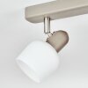 Sivol Plafonnier, Spot de plafond Nickel mat, Sable, 3 lumières