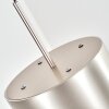 Falor Suspension, Suspension LED Champagne, 1 lumière