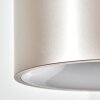 Falor Suspension, Suspension LED Champagne, 1 lumière