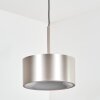 Falor Suspension, Suspension LED Champagne, 1 lumière