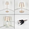 Salgadinho Lampe de table d'extérieur, Lampe à poser LED Champagne, 1 lumière