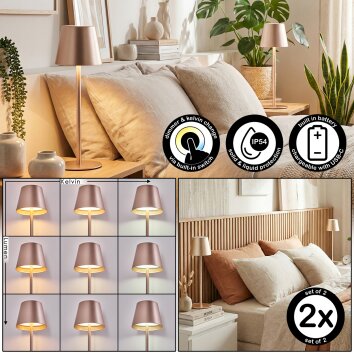 Salgadinho Lampe de table d'extérieur, Lampe à poser LED Champagne, 1 lumière