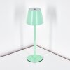 Salgadinho Lampe de table d'extérieur, Lampe à poser LED Vert, 1 lumière