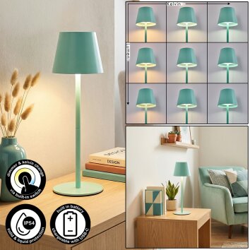 Salgadinho Lampe de table d'extérieur, Lampe à poser LED Vert, 1 lumière