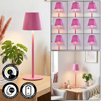 Salgadinho Lampe de table d'extérieur, Lampe à poser LED Rose, 1 lumière