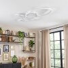 Molin Plafonnier LED Blanc, 1 lumière