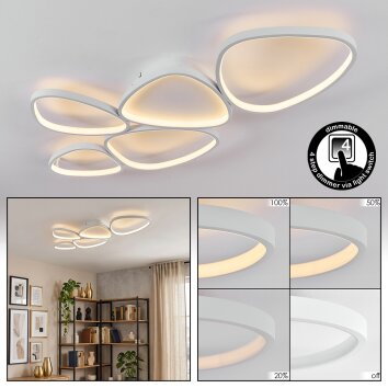 Molin Plafonnier LED Blanc, 1 lumière
