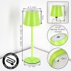 Salgadinho Lampe de table d'extérieur, Lampe à poser LED Vert, 1 lumière