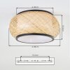Jelon Plafonnier LED Noir, 1 lumière