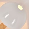 Lampe Champignon  Forgek Lampe à poser Couleur bois, Sable, 1 lumière