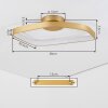 Talora Plafonnier LED Laiton, 1 lumière