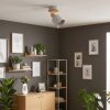 Olaris Plafonnier, Spot de plafond Chrome, Gris, Écru, 1 lumière