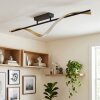 Kelon Plafonnier LED Noir, 1 lumière