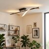 Kelon Plafonnier LED Noir, 1 lumière