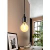 Luminaires Eglo E27 LED 5.5 Watt blanc chaud dimmable 400 Lumen