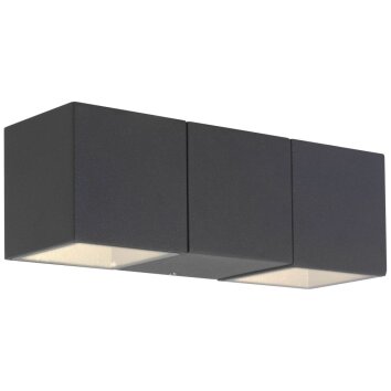 Applique murale d'extérieur AEG Daveen LED Anthracite, 2 lumières