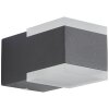 Applique murale d'extérieur AEG Amity LED Anthracite, 2 lumières