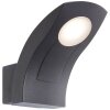 Applique murale d'extérieur AEG Brynna LED Anthracite, 1 lumière