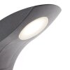 Applique murale d'extérieur AEG Brynna LED Anthracite, 1 lumière