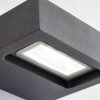 Applique murale d'extérieur AEG Glynn LED Anthracite, 1 lumière