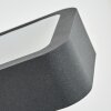 Faren Lampe murale d´extérieur, Luminaire Up & Down, Applique murale LED Anthracite, 1 lumière