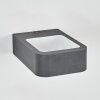 Faren Lampe murale d´extérieur, Luminaire Up & Down, Applique murale LED Anthracite, 1 lumière
