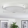 Plafonnier Finsrud LED Blanc, 1 lumière