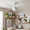 Lenok Ventilateur de plafond lumineux LED Couleur bois, Blanc, 1 lumière, Télécommandes