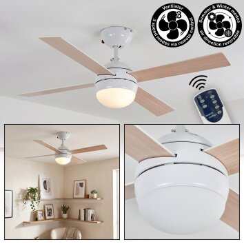 Lenok Ventilateur de plafond lumineux LED Blanc, 1 lumière, Télécommandes