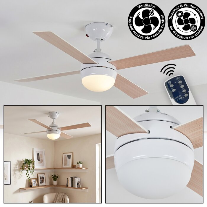 Lenok Ventilateur de plafond lumineux LED Blanc, 1 lumière, Télécommandes