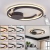 Miral plafonnier LED rond avec télécommande Ø 48 cm, design à anneaux