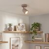 Lemak spot de plafond LED orientable beige taupe, luminaire moderne GU10
