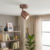 Lemak spot de plafond LED orientable cuivre brossé, GU10, style moderne