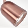 Lemak spot de plafond LED orientable cuivre brossé, GU10, style moderne