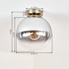 Gastor plafonnier boule en verre fumé, lampe de plafond vintage E27 laiton