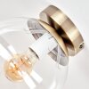 Plafonnier Gastor boule en verre transparent, douille E27, finition laiton vieilli
