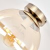 Gastor plafonnier globe en verre vintage E27, Ø 25 cm, finition laiton vieilli