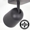 Spot de plafond LED moderne Lemak à deux têtes cylindriques noires orientables