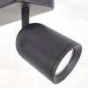Spot de plafond LED moderne Lemak à deux têtes cylindriques noires orientables