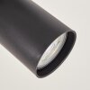 Velani plafonnier LED avec spots orientables, 2 lampes, anneau lumineux