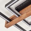 Selani plafonnier LED avec télécommande, design carré plat moderne