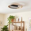 Calista plafonnier LED rond 29,5 cm, luminaire de plafond moderne à anneau