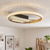 LED Plafonnier Calista, 3000 Kelvin blanc chaud, 4000 Kelvin blanc neutre, 6000 Kelvin jour