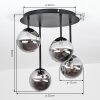 Plafonnier moderne Chehalis à 4 lumières avec abat-jour ronds en verre fumé, ø 12 cm, G9