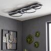 Kordex plafonnier LED moderne à anneaux lumineux croisés, forme allongée