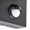 Kingstown applique murale extérieure avec détecteur de mouvement GU10 pour façade